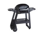 Onyx 311 2 Burner Gas Barbecue With Side Burner OUT370693