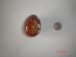 Petrified Wood Stone Egg SSP324