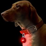 Dog pet LED Pendant Clip On Safety Night Light