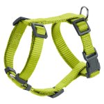 London Rapid Harness - XX Small X Small Lime