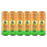 Switch Energy Drink Yuzu Rooibos Flavoured Iced Tea 24X500ML