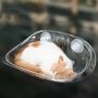 Cat Haven Suction Bed - Rex