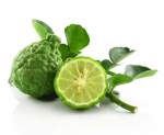 Bergamot Essential Oil 20ML