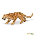 Wildlife Leopard
