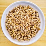 Barley Grain kernels berries - Whole