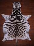 A Grade Zebra Hide 079 M
