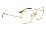 Ray Ban RB1971V Square