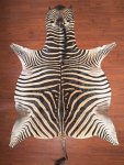 Aa Grade Zebra Hide 033 L