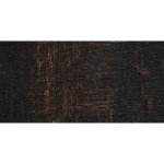 Artist Oil Paint - Asphaltum 37ML