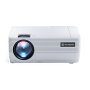 Leisure 470 Projector