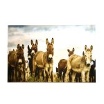 Chenille Rectangular Rug Herd Of Donkeys