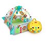 Bright Starts 5-IN-1 Your Way Ball Play Activity Gym 0M+