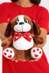 Valentine’s Day Plush Teddy Bear
