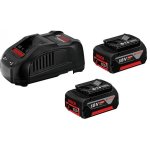 Bosch Professional 2X PROCORE18V 5.5AH + Gal 1880 Cv Starter Set