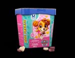 Montego Paw Patrol MINI Hearts Dog Treats- 500G