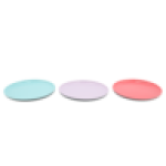 Plastic Plate 250MM Colour May Vary