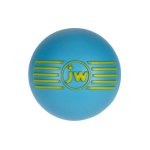 Isqueak Ball - Large