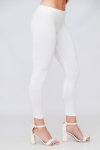 Senza Premium Nylon Spandex Solid Basic Waisted Leggings