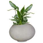 Premium Arizona Plant Pot - Small 720MM L X 530MM W X 510MM H Rock