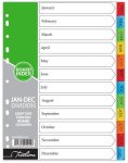 Printed Deep Tint January To December Dividers A4 Assorted Pack Of 10