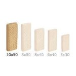 Festool Domino D10 10X50MM 510PK
