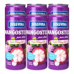 Jussvina 100% Natural Mangosteen Juice 6X330ML