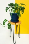 Terry's Wooden Plant Stand - 60CM