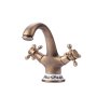TBTF001- Floral And Brass Basin Mixer