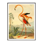 Flamingo Art Print - A3 420X297 Mm