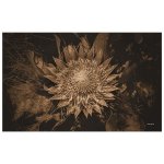 King Protea Sepia Rectangle Tablecloth By Annette Heymans