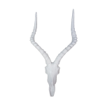 Impala Horns Resin Ornament White