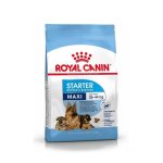 ROYAL CANIN Maxi Starter Mother & Baby Dog - 15KG