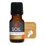 Aromatherapy Oil 10ML Ginger