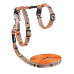 CAT Rogz Z 11MM Night Reflective Lead And H-harness Combination Orange Birds On Wire Waggs Pet Shop