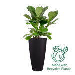 Havana Natural High Pot - Volcano 70CM