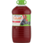 55% Berry Fruit Nectar Juice Bottle 3L