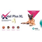 XL Dewormer For Dogs - Single Tablet