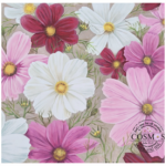 Cosmetic Cosmos 15CM