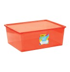 Addis 30l Clearly Neat Storage Box