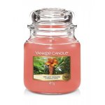 Candle The Last Paradise Medium Jar Retail Box No Warranty Product Overviewthe Candle The Last Paradise Medium Jar Lets You Imag