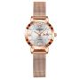 Waterproof Stainless Steel Mesh Strap Female Watch