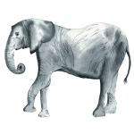 Animal Nursery 4 Art Print