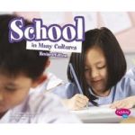 School In Many Cultures Paperback