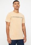 Vintage Corp Logo Tee - Dried Clay Brown
