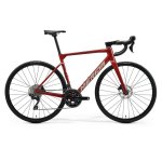 Scultura 4000 Disc 2026 - XL