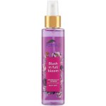 Portia M Blush In Bloom Body Mist 150ML