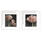 Salmon Pink Peony Tulips Framed Print 725 X 725 Set Of 2