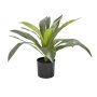 Dracena Fragrans Plant In Pot - 50CM H - Artificial