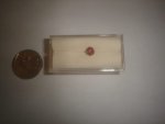 Pink Tourmaline Cut Gemstone 0.8CT MCT67