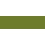Faber-Castell Pitt Pastel Pencil Pine Green